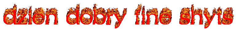 dzien dobry fine shyts